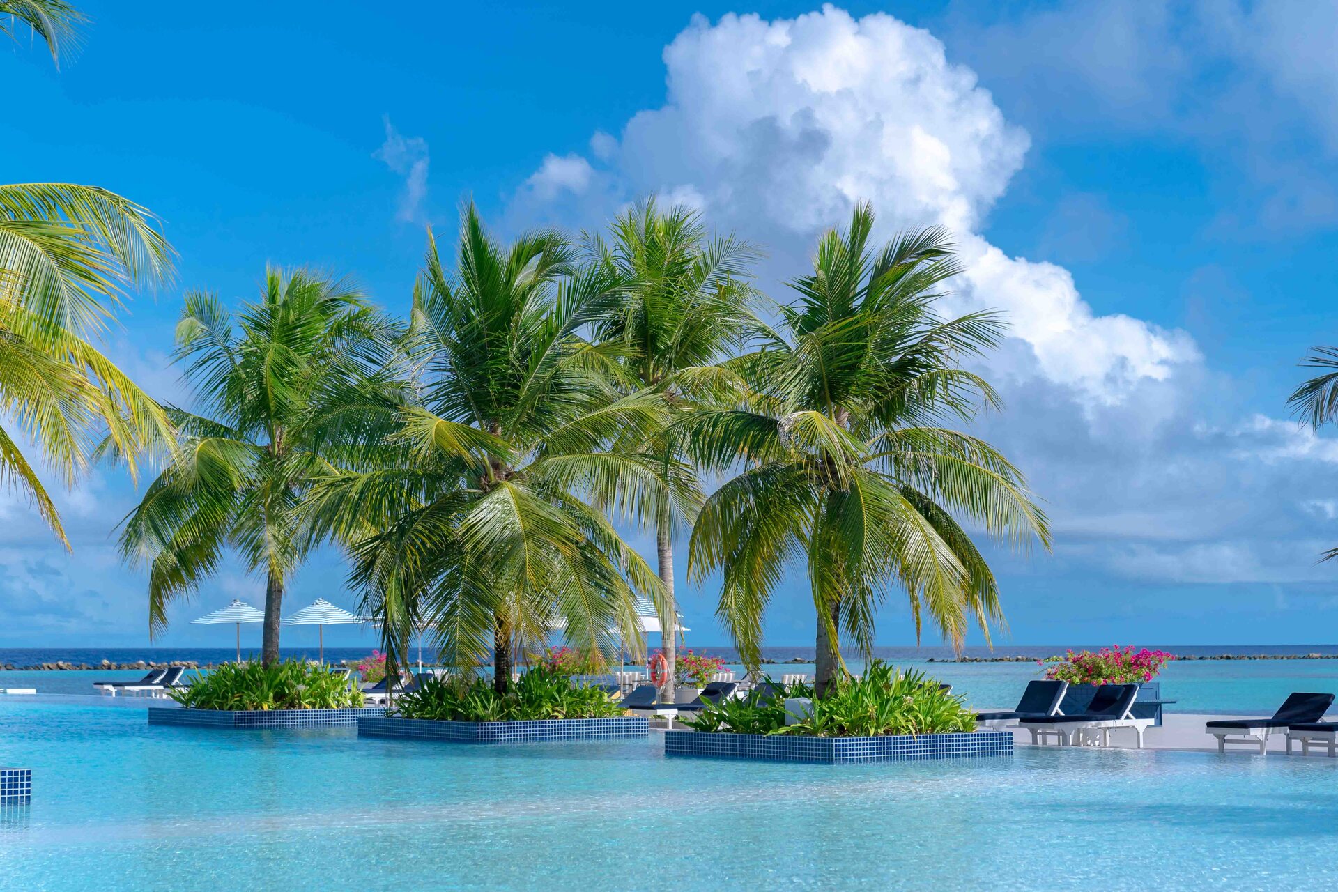 Resorts
